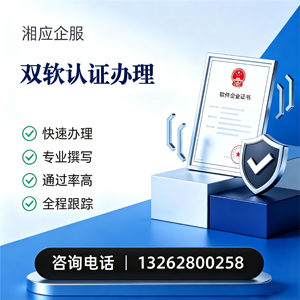 阳江双软认证申报服务