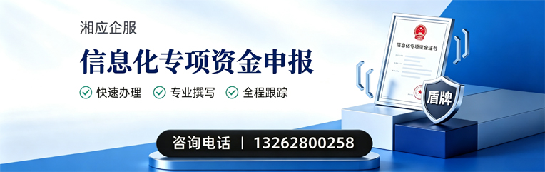 阳江信息化专项资金申报服务
