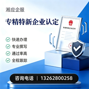 阳江专精特新企业申报服务