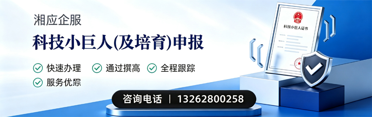 阳江科技小巨人及培育企业申报服务