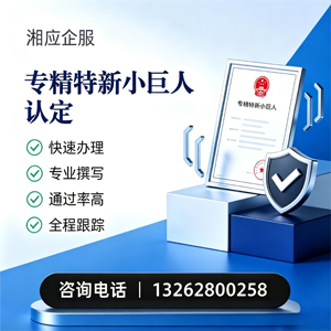 阳江专精特新小巨人申报服务