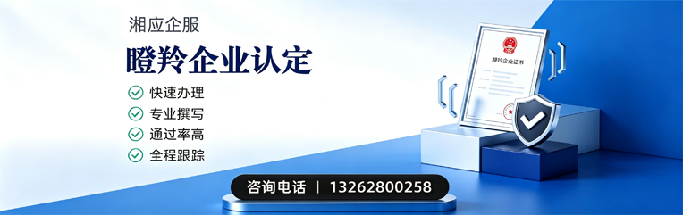 阳江瞪羚企业认定申报服务