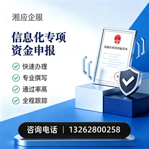 阳江信息化专项资金申报服务