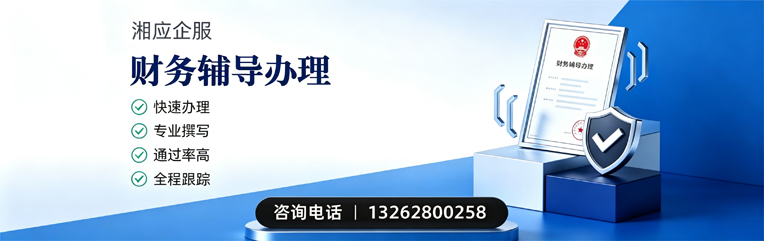 阳江财务辅导申请服务