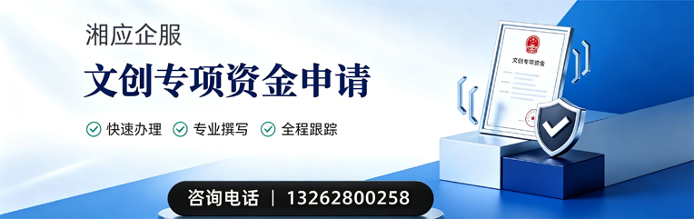 阳江文创专项资金申报服务