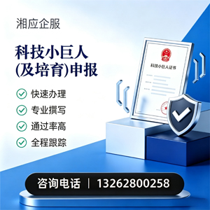 阳江科技小巨人及培育企业申报服务