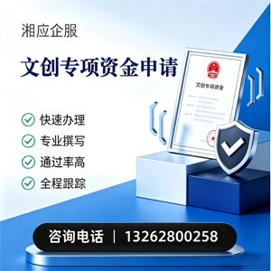 阳江文创专项资金申报服务