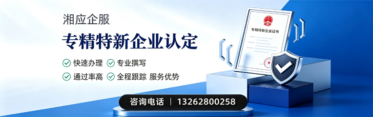 阳江专精特新企业申报服务