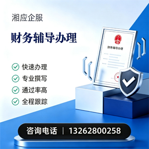 阳江财务辅导申请服务