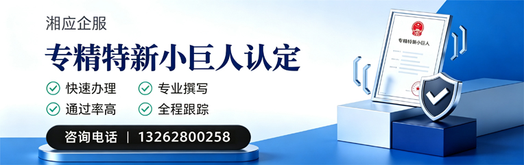 阳江专精特新小巨人申报服务